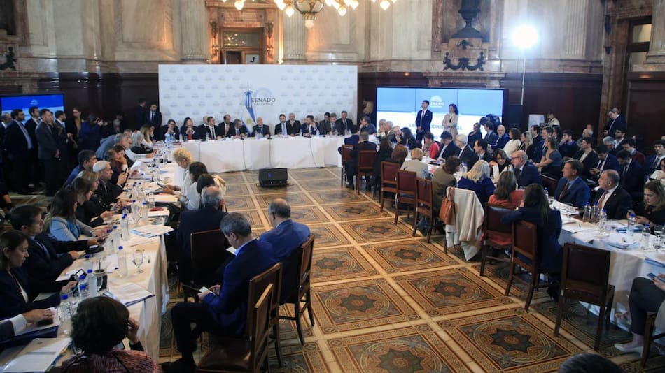 Senado, tratamiento de la Ley Bases y el Paquete Fiscal. Foto: NA