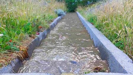 Colapso del sistema cloacal en El Chalten. Foto: Gentileza Ahora Calafate.