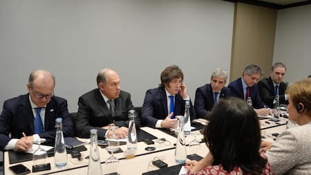 Deuda con el FMI: el desafío de Gobierno para desembolsar el primer pago del 2026 y preparar una segunda revisión