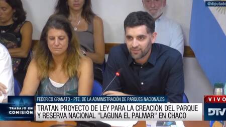 Actividad de Diputados, foto DTV