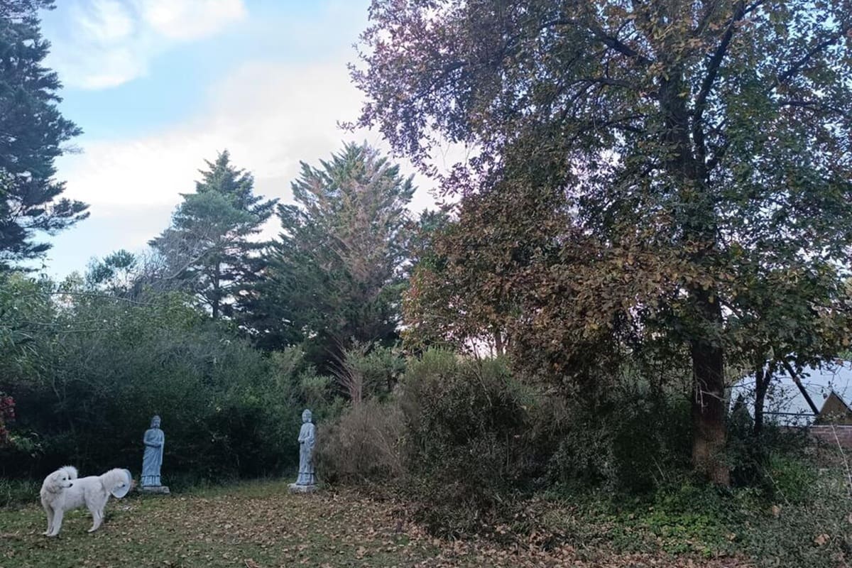 El proyecto se presenta como un refugio para quienes desean alejarse del ritmo urbano y experimentar una forma de vida más cercana a la naturaleza.
