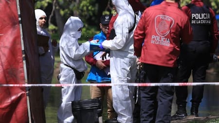 Hallazgo en los Lagos de Palermo. Foto: NA