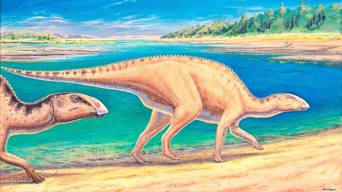 Dinosaurio herbívoro Gonkoken nanoi. Foto: Twitter @uchile