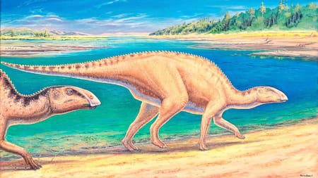 Dinosaurio herbívoro Gonkoken nanoi. Foto: Twitter @uchile