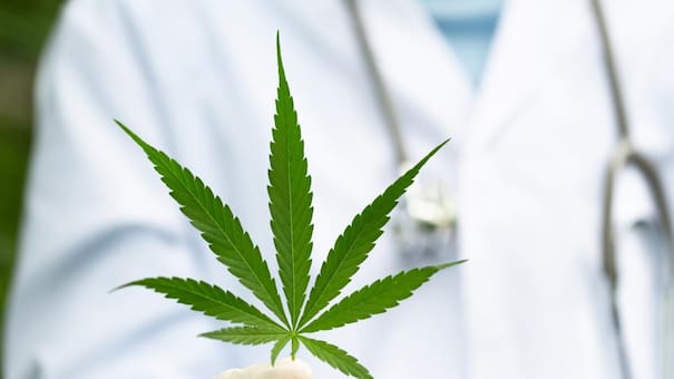 Malta será el primer país de la Unión Europea en legalizar el cannabis para uso recreativo