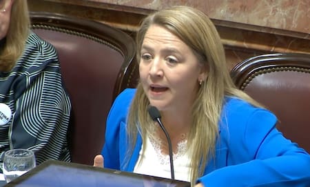 Ana Marks, senadora del PJ