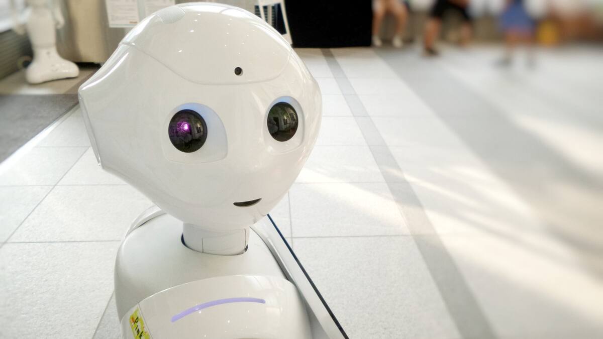 Robots, tecnología, ciencia, futuro. Foto: Unsplash