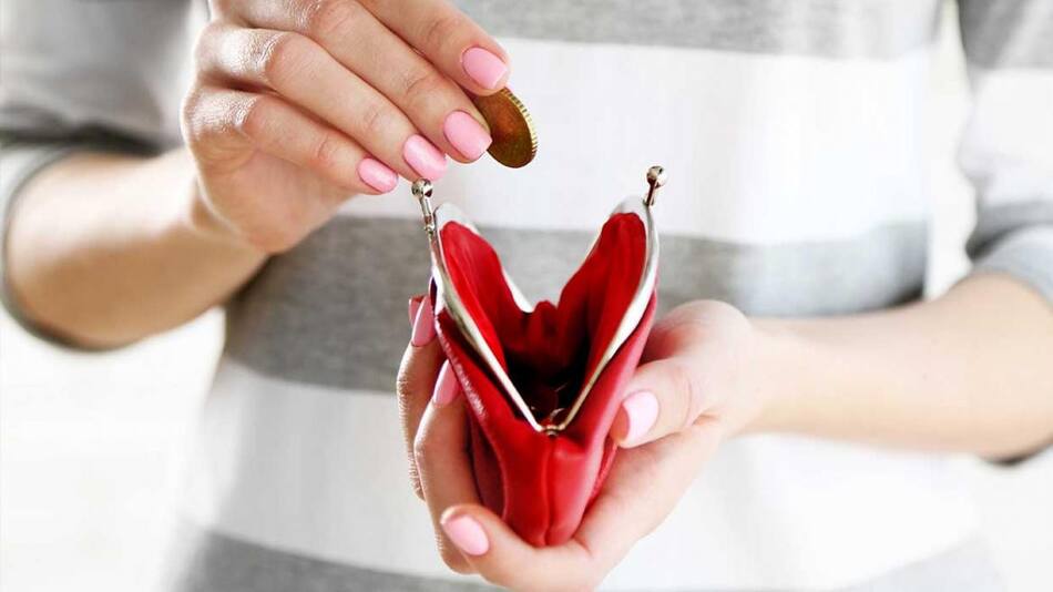 Dinero, Monedero, billetera