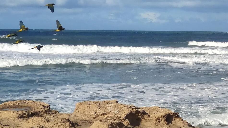 Balneario Los Ángeles, en la Costa Atlántica argentina. Foto: Facebook / Balneario Los Ángeles.