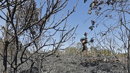 Incendios en Bogotá. Foto: EFE