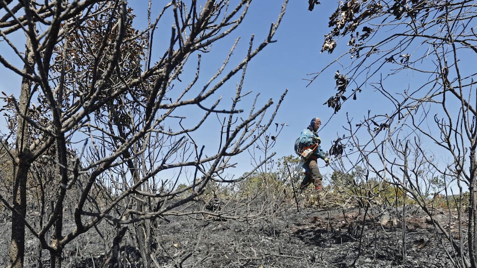 Incendios en Bogotá. Foto: EFE