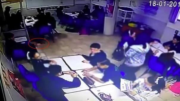 Video: alumno le dispara a su maestra y a sus compañeros y se suicida