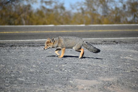 Pueblo para realizar escapadas en familia. Foto: Facebook/LavalleMendozaTurismo