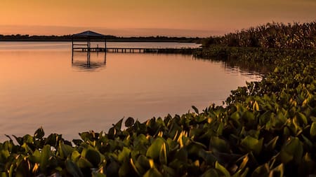 Parque Nacional Río Pilcomayo, Formosa.