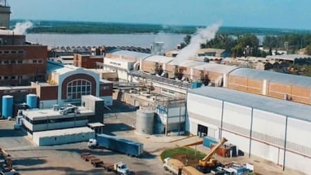 Celulosa Argentina frenó la actividad en sus plantas: buscan nuevos inversores