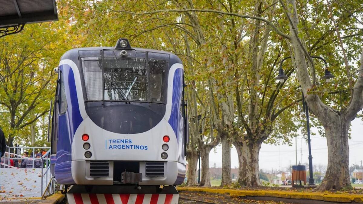 Tren turístico. Foto: NA