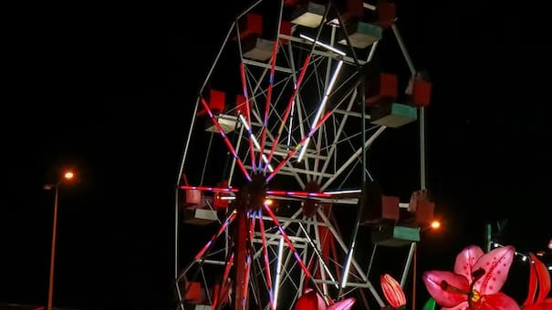 Empieza el Festival de Luces Chinas: un evento lleno de magia que llega por primera vez a Argentina