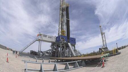 Vaca muerta. Foto: NA.