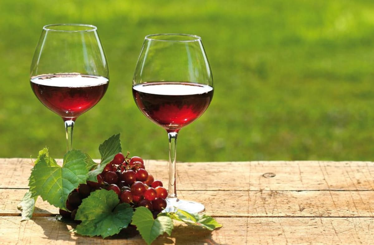 Vino Malbec