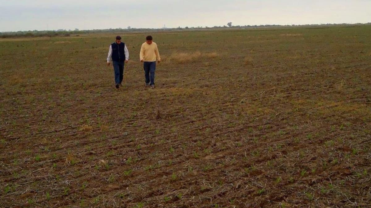 Impulsan el cierre de contratos de arrendamiento a través del pago en cuotas