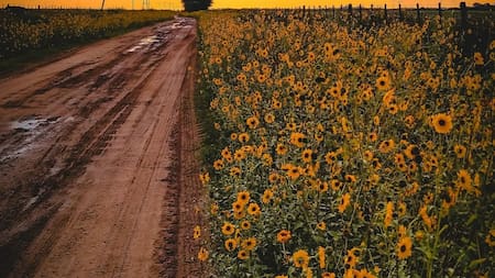 La Pampa. Foto: Turismo La Pampa
