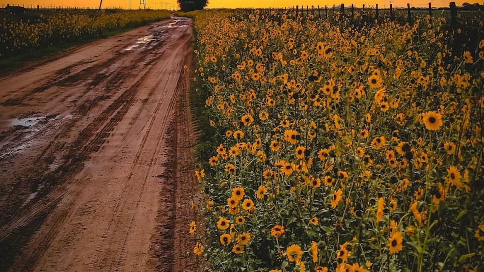 La Pampa. Foto: Turismo La Pampa