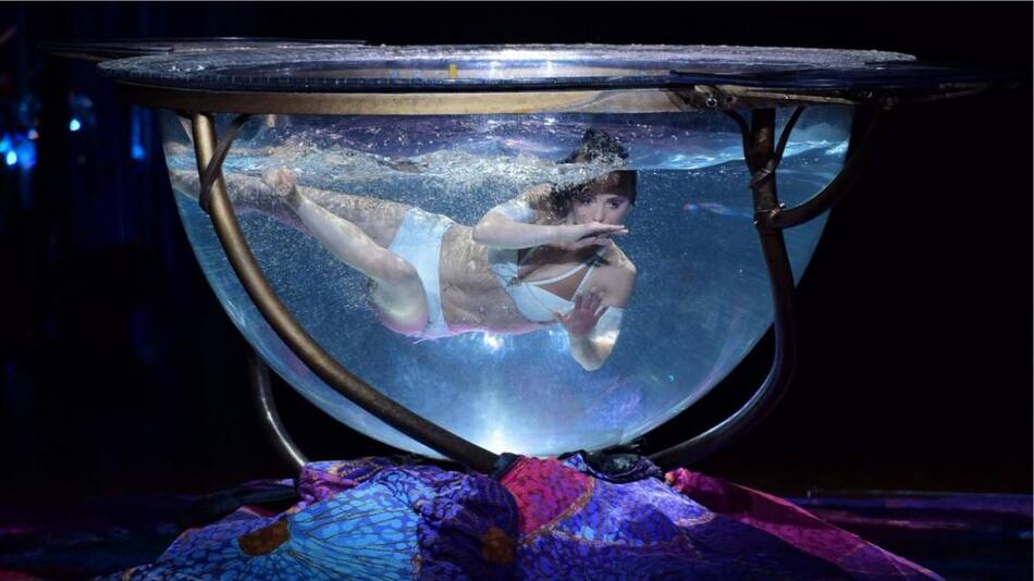 Cirque du Soleil Amaluna