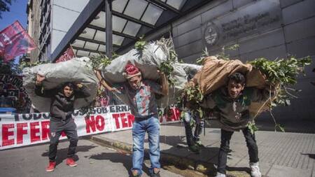 Conflicto productores yerbateros, economía