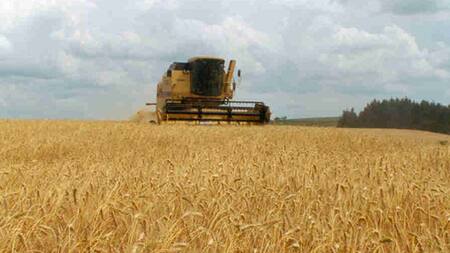 El Gobierno anunció que el agro alcanzó las ventas por US$7000 millones: finalizó la quita de retenciones