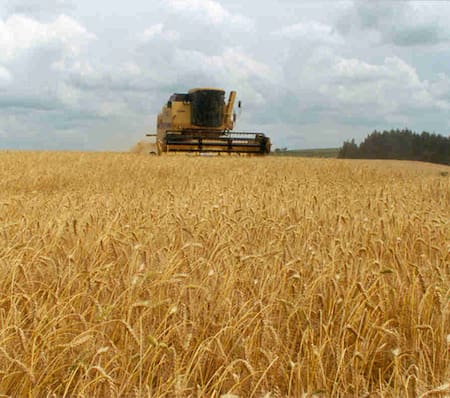 Retenciones al campo