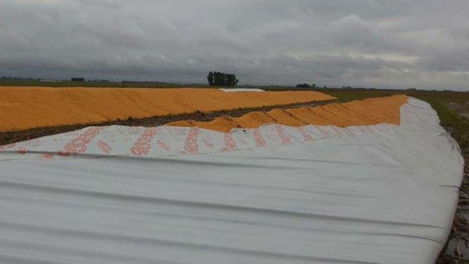 Rotura de silobolsas en Santa Fe
