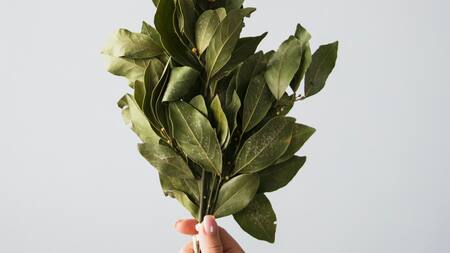 La luna nueva es el momento propicio para enfocar tus intenciones hacia la buena fortuna. Foto: Unsplash.