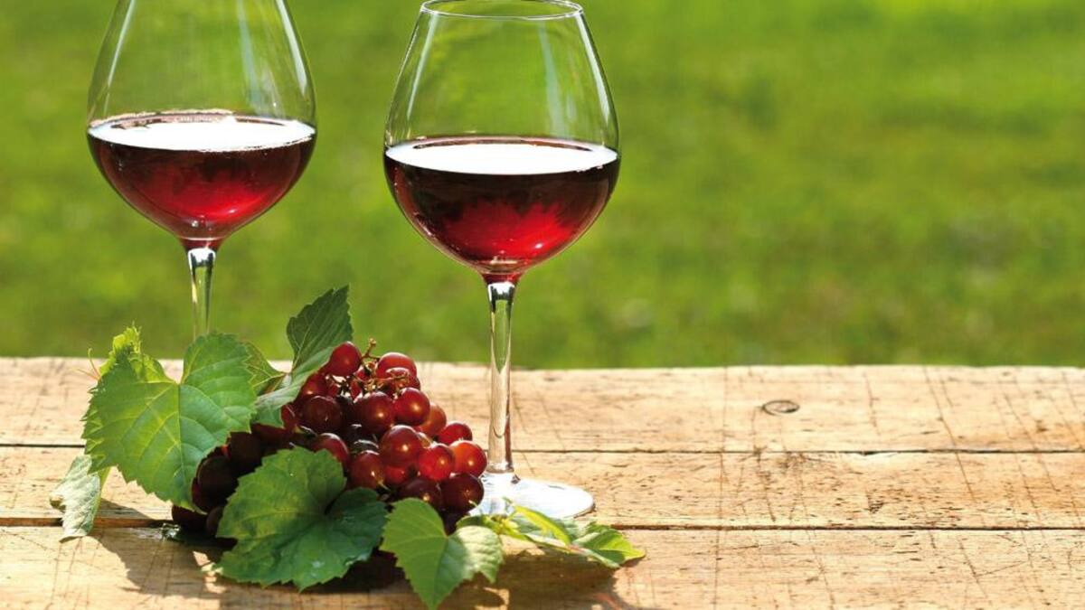 Vino Malbec