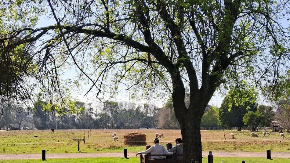 Llegar a Tomás Jofré desde la Ciudad de Buenos Aires es muy sencillo