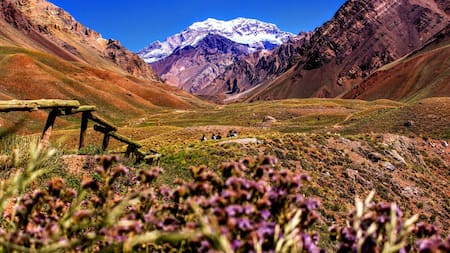 Mendoza es una de las provincias que mejor atiende a los turistas, pero no es la primera. Foto Unsplash.