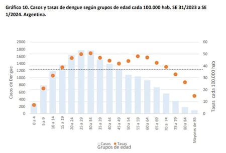 Gráfico sobre casos de dengue. Foto: NA.