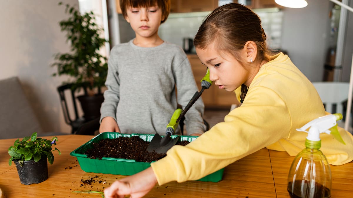 Día del Niño: 4 actividades y juegos divertidos con flores y plantas para hacer con los más chicos