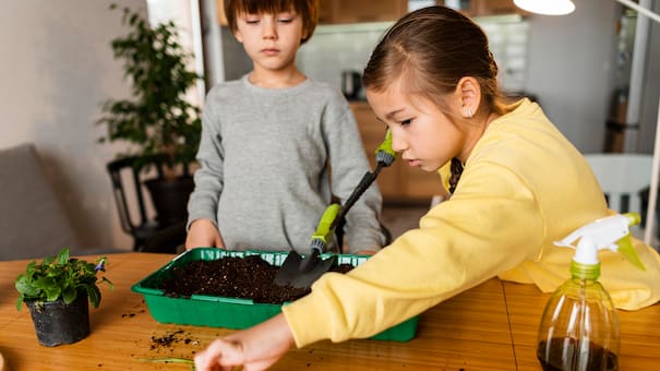 Día del Niño: 4 actividades y juegos divertidos con flores y plantas para hacer con los más chicos