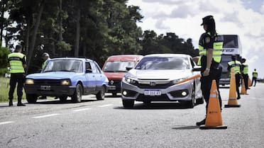 Licencia de conducir digital en Argentina: ¿es válida para presentar en los controles de tránsito?