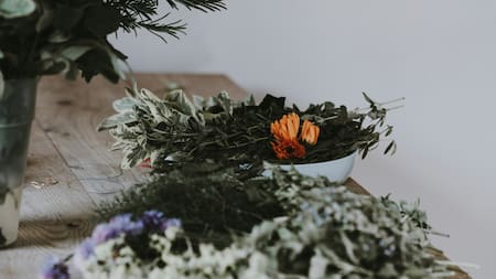 El romero, mucho más que una hierba medicinal. Foto: Unsplash