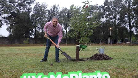 Fernando Gray lanzó un Programa de Forestación de Plantas Nativas, #YoMePlanto