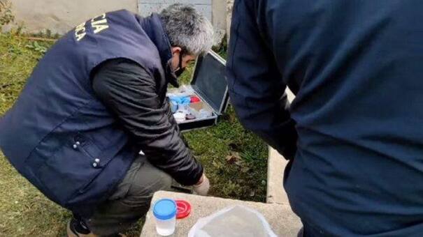 Macabro e insólito: hallan un pene dentro de un frasco en una casa de Balcarce