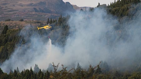 Incendio en Parque Nacional Los Alerces