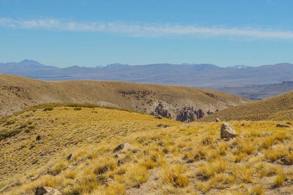 Rodeado de paisajes volcánicos, géiseres y aguas termales, Varvarco conserva una identidad rural única en el norte patagónico. En 2026, fue incorporado a un programa nacional que busca impulsar su desarrollo turístico y proyectarlo internacionalmente.