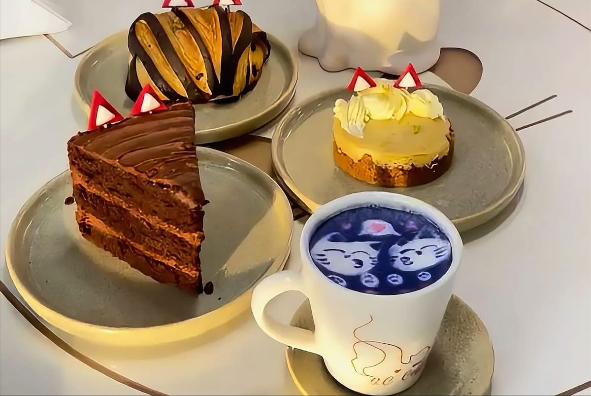 Studio Cat Coffee, cafetería para los amantes de los gatos.