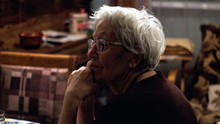 Canas. Foto: Unsplash