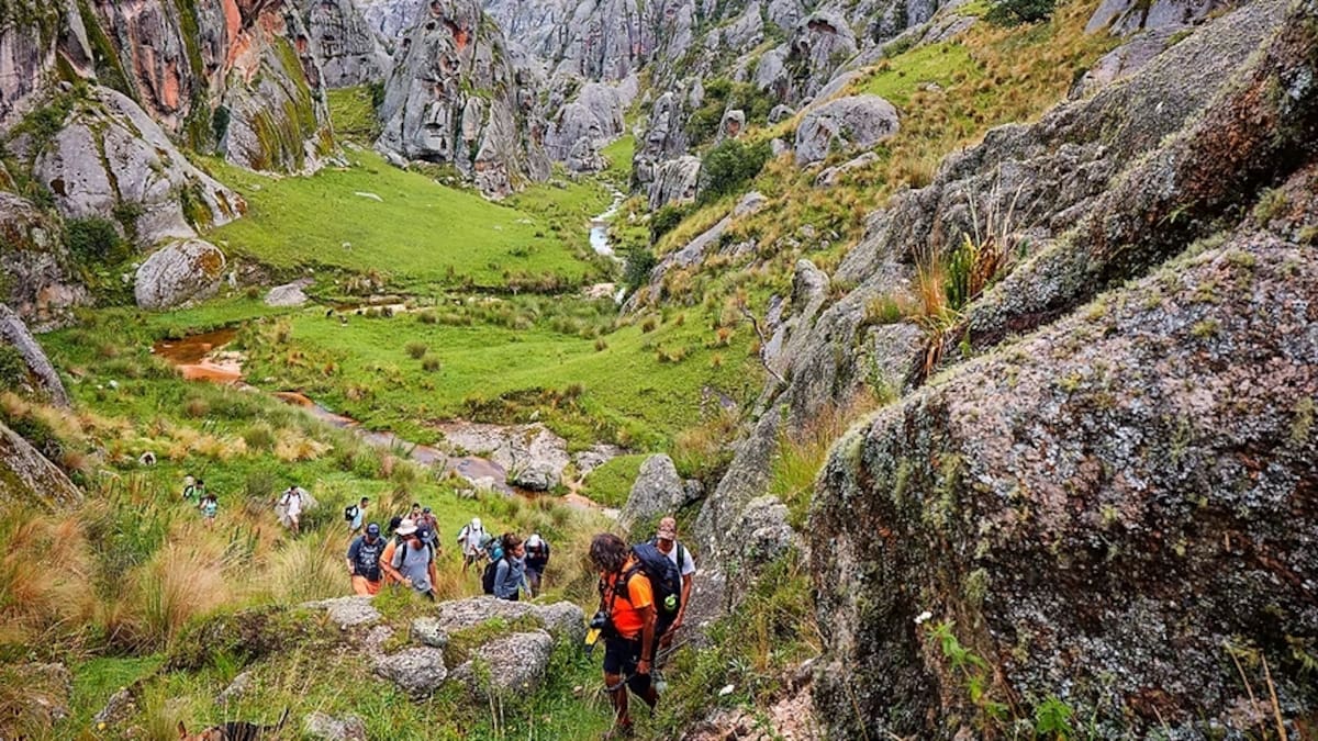 Valle de los Lisos