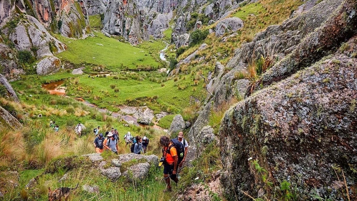 A más de 2.000 metros de altura: la reserva natural que protege a uno de los mayores tesoros de la argentina