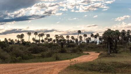 El increíble Parque Nacional que enamora a los turistas. Foto: Provincia de Entre Ríos