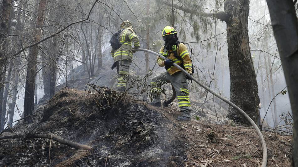 Incendios en Bogotá. Foto: EFE